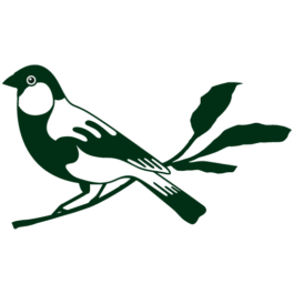 Kieferorthopädie / Osteopathie Schaafheim / Dr. Vogel