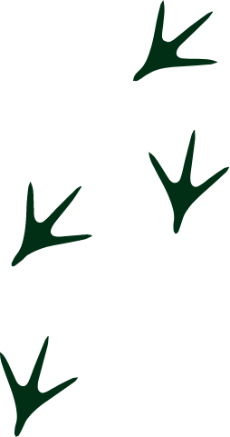 Kieferorthopädie / Osteopathie Schaafheim / Dr. Vogel